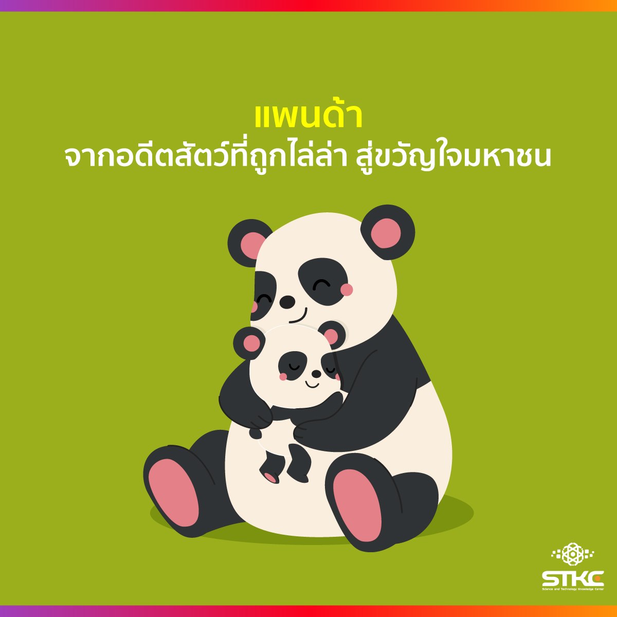 แพนด้า จากอดีตสัตว์ที่ถูกไล่ล่า สู่ขวัญใจมหาชน