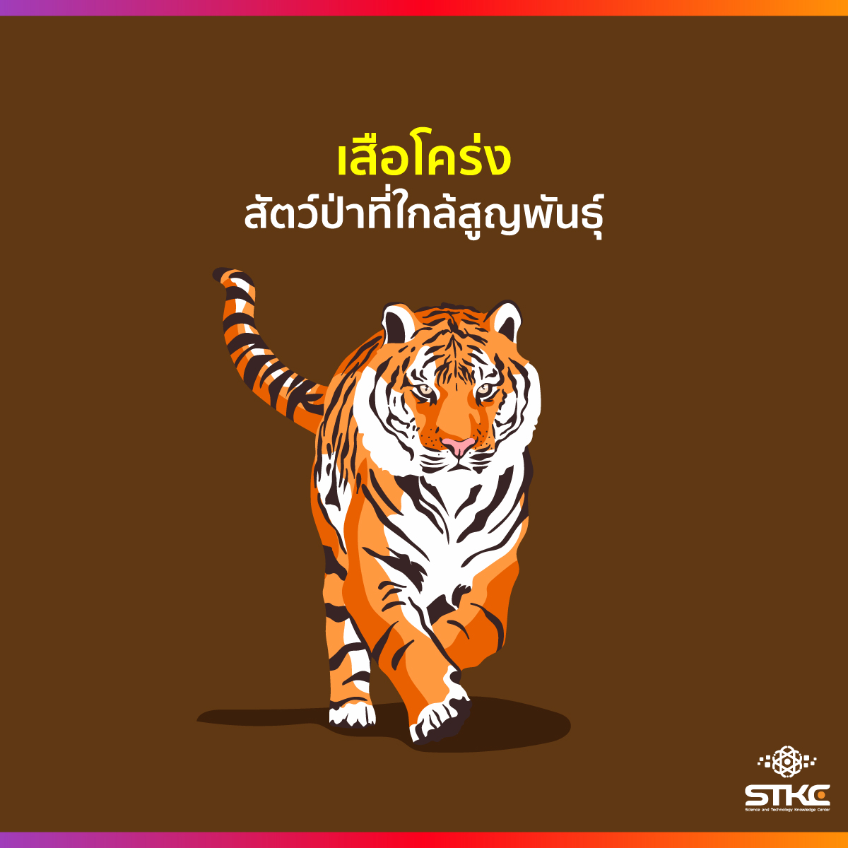 เสือโคร่ง สัตว์ป่าที่ใกล้สูญพันธุ์