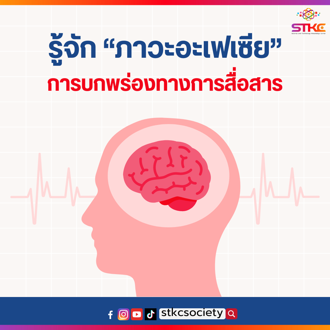 รู้จักภาวะอะเฟเซีย การบกพร่องทางการสื่อสาร