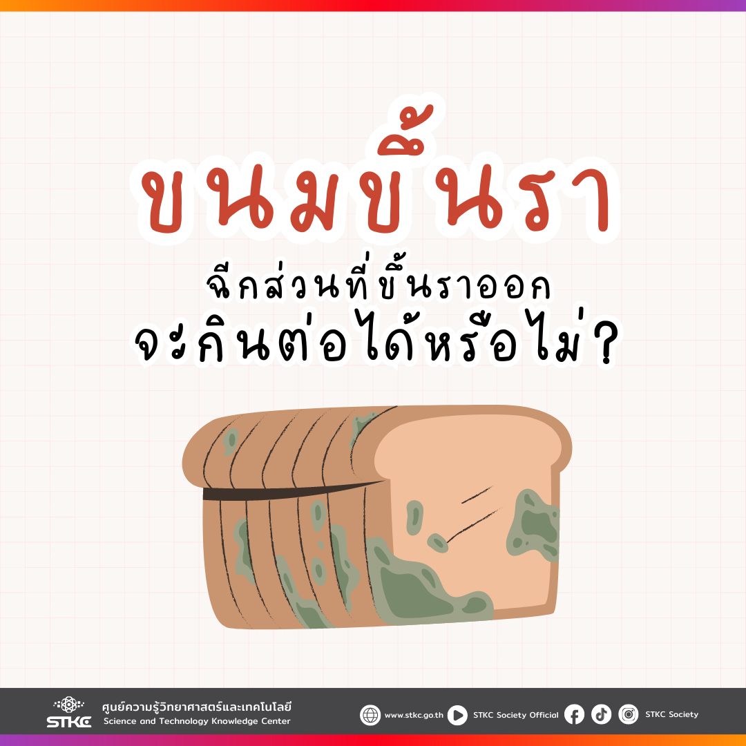 ขนมปังขึ้นรานิดเดียว ถ้าเราฉีกส่วนที่ขึ้นราออก จะกินต่อได้หรือไม่ ?