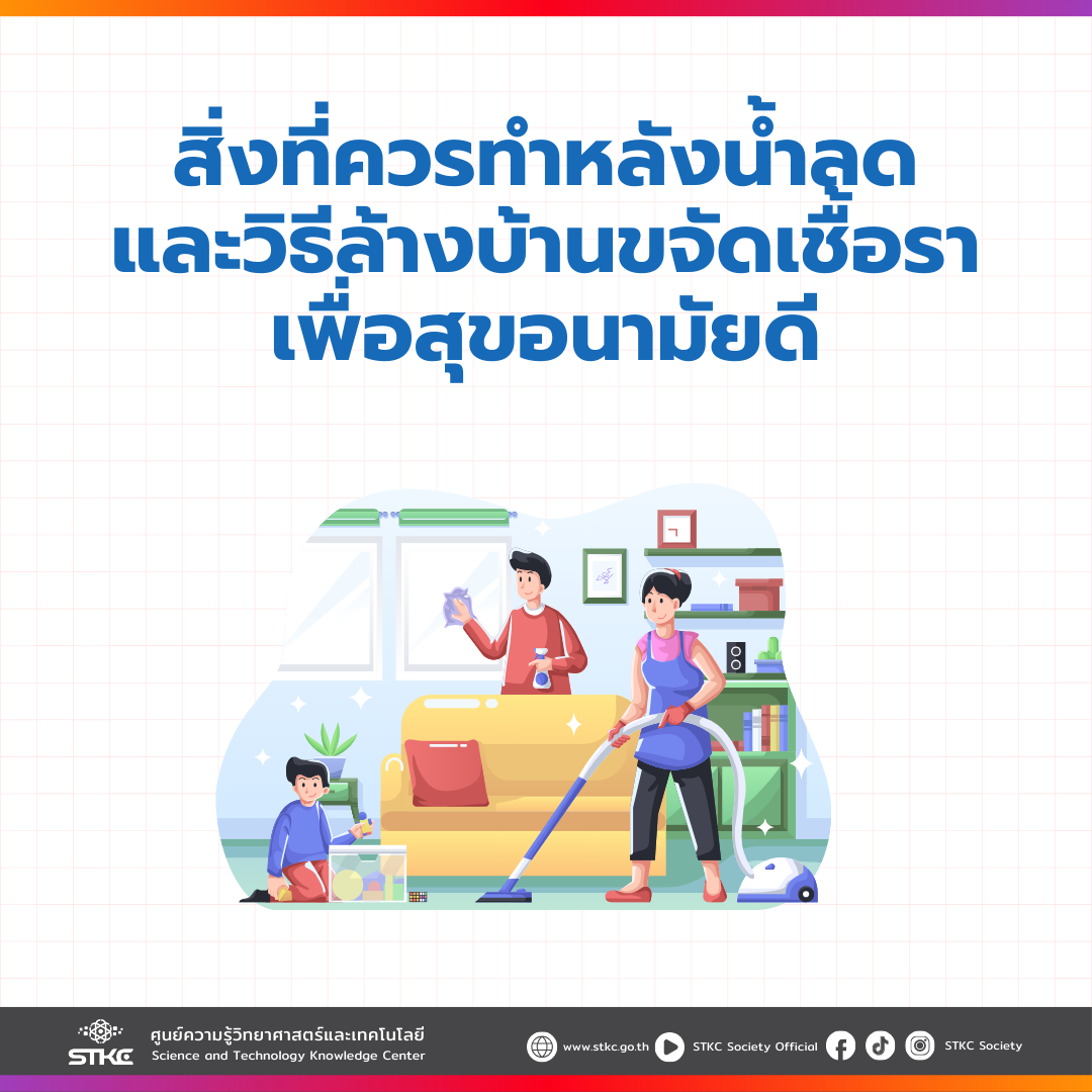สิ่งที่ควรทำหลังน้ำลด และวิธีล้างบ้านขจัดเชื้อราเพื่อสุขอนามัยดี