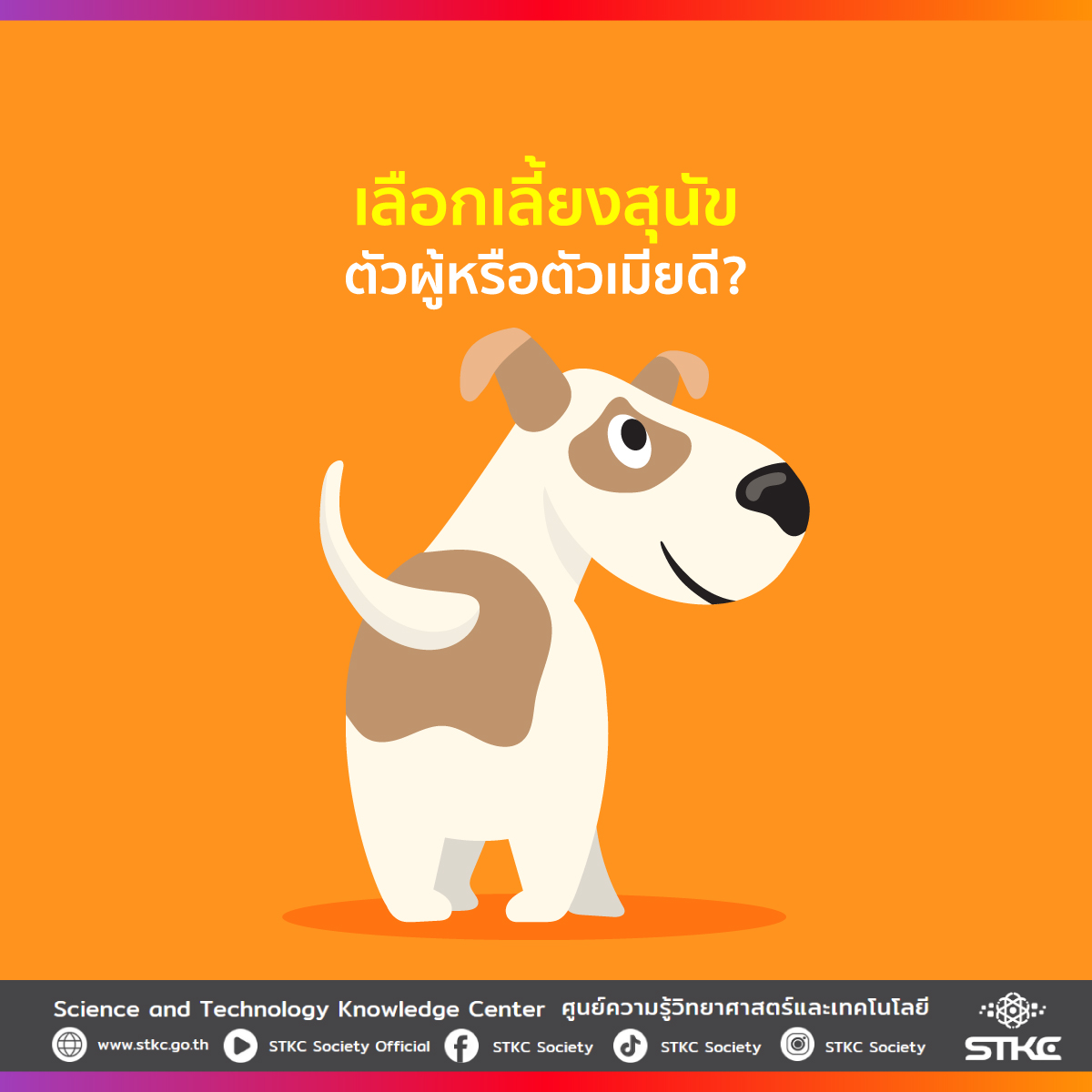 เลือกเลี้ยงสุนัขตัวผู้หรือตัวเมียดี?