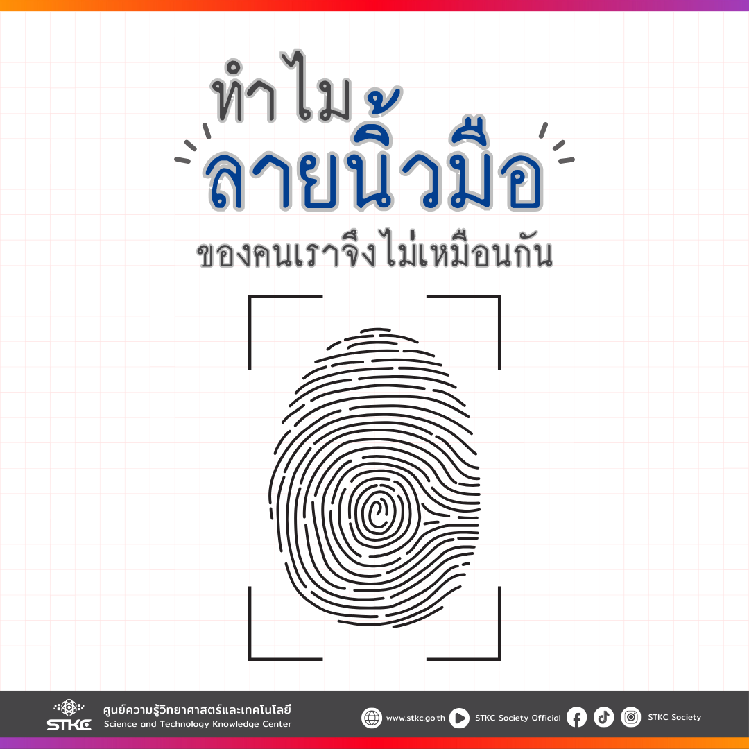 ทำไมลายนิ้วมือของคนเราจึงไม่เหมือนกัน