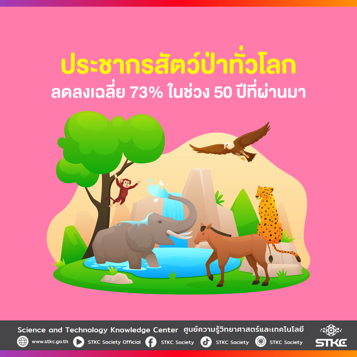 ประชากรสัตว์ป่าทั่วโลกลดลงเฉลี่ย 73% ในช่วง 50 ปีที่ผ่านมา