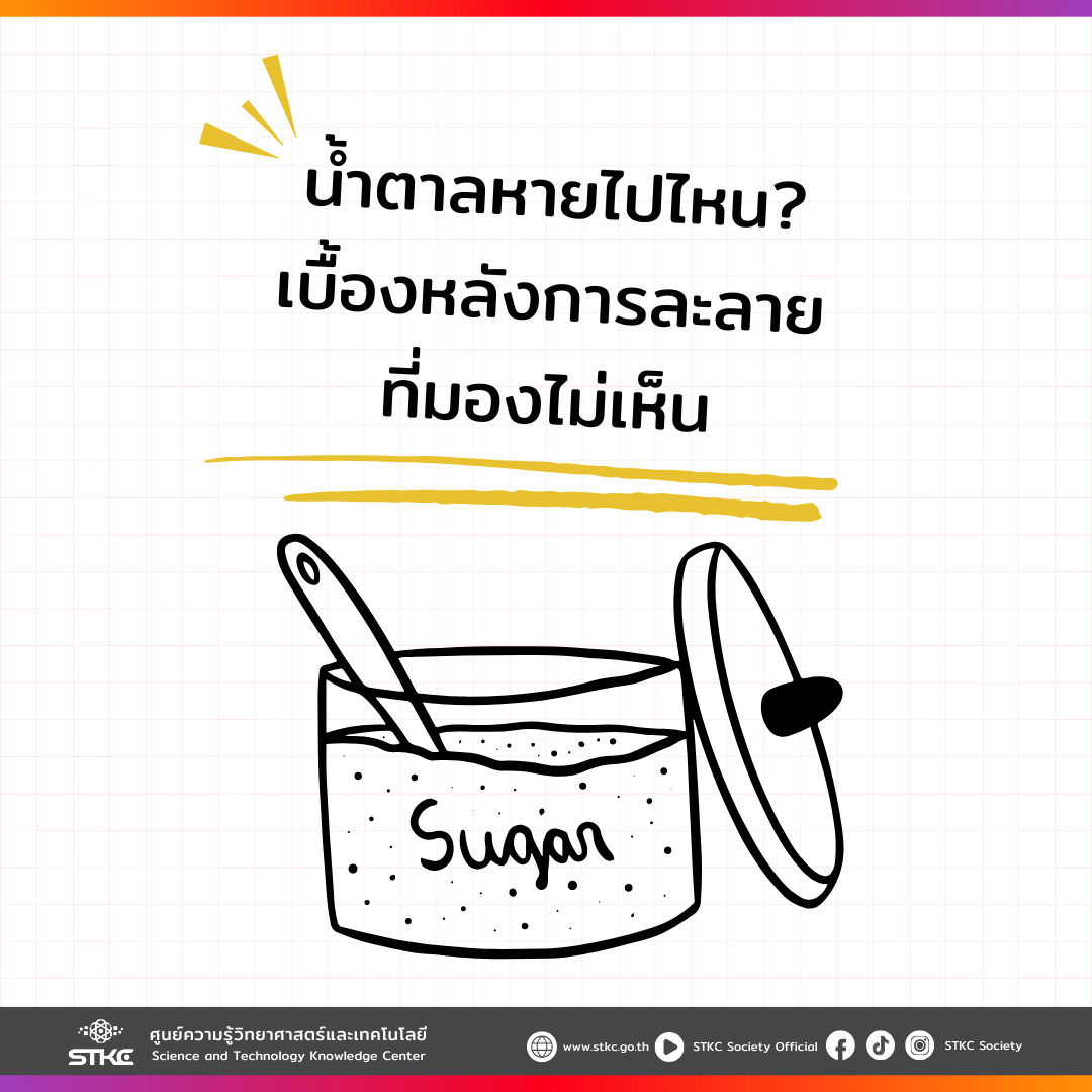 น้ำตาลหายไปไหน เบื้องหลังการละลายที่มองไม่เห็น