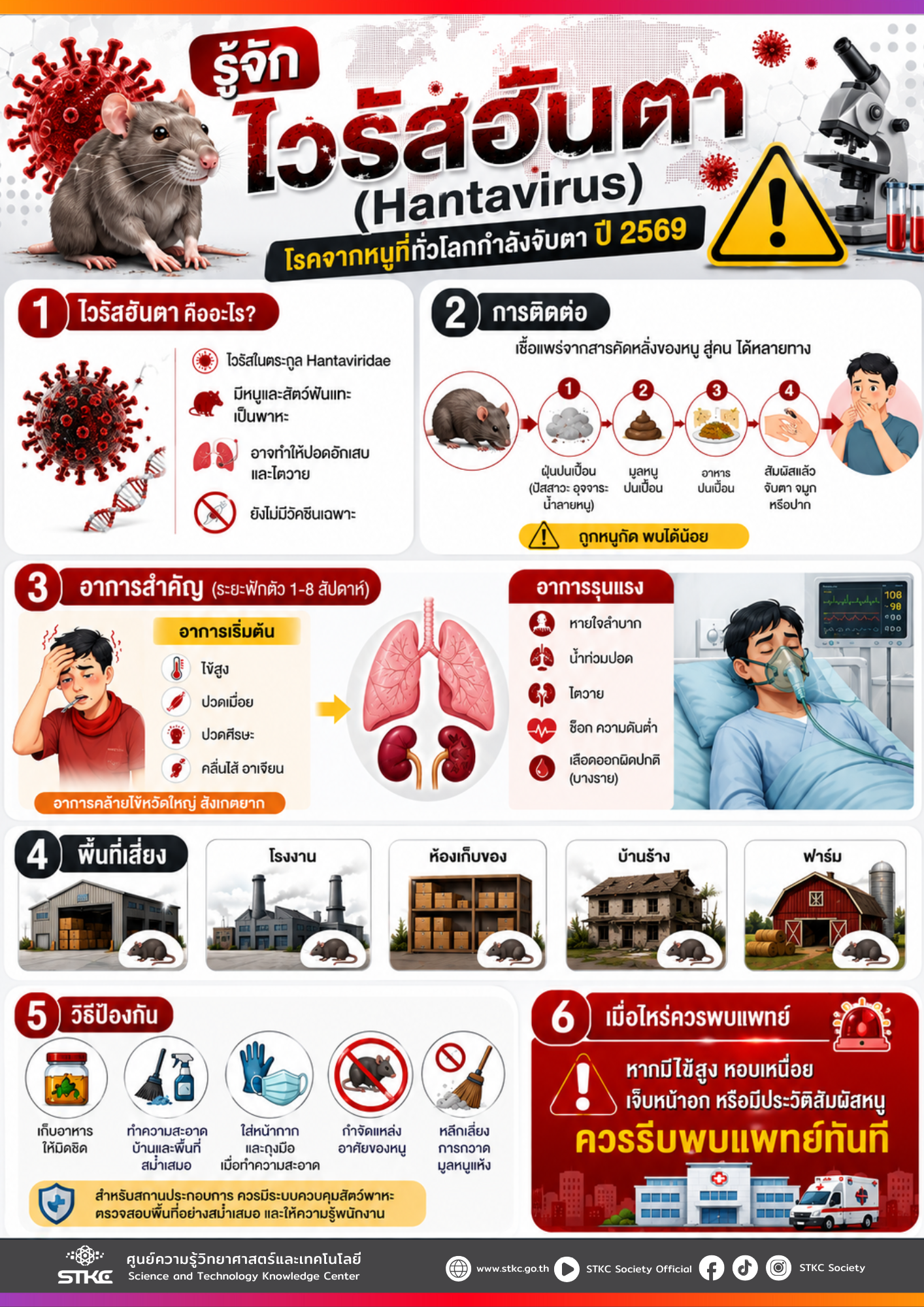 รู้จัก ไวรัสฮันตา (Hantavirus)