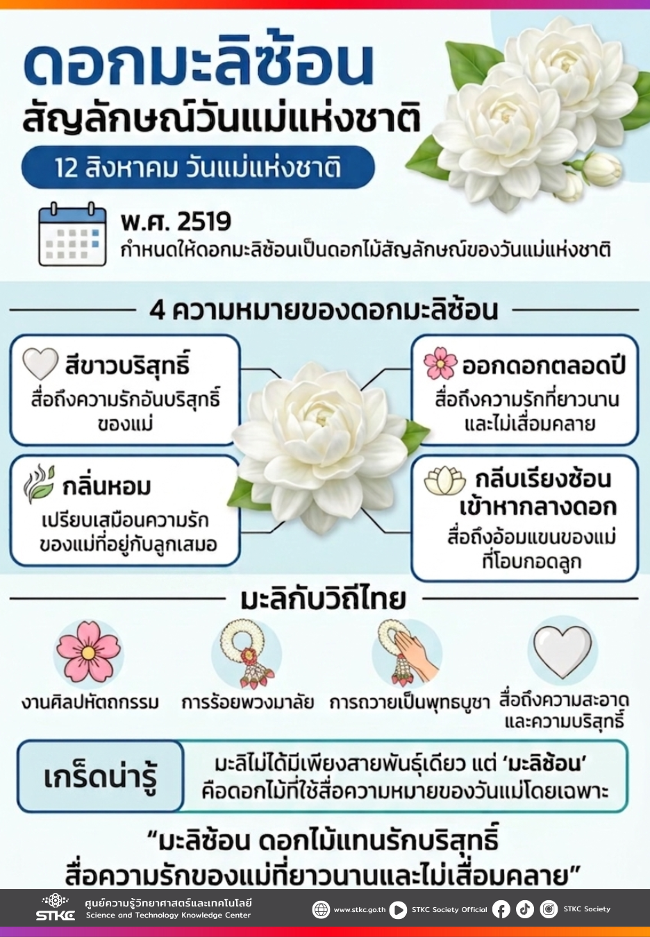 ดอกมะลิซ้อน สัญลักษณ์วันแม่แห่งชาติ