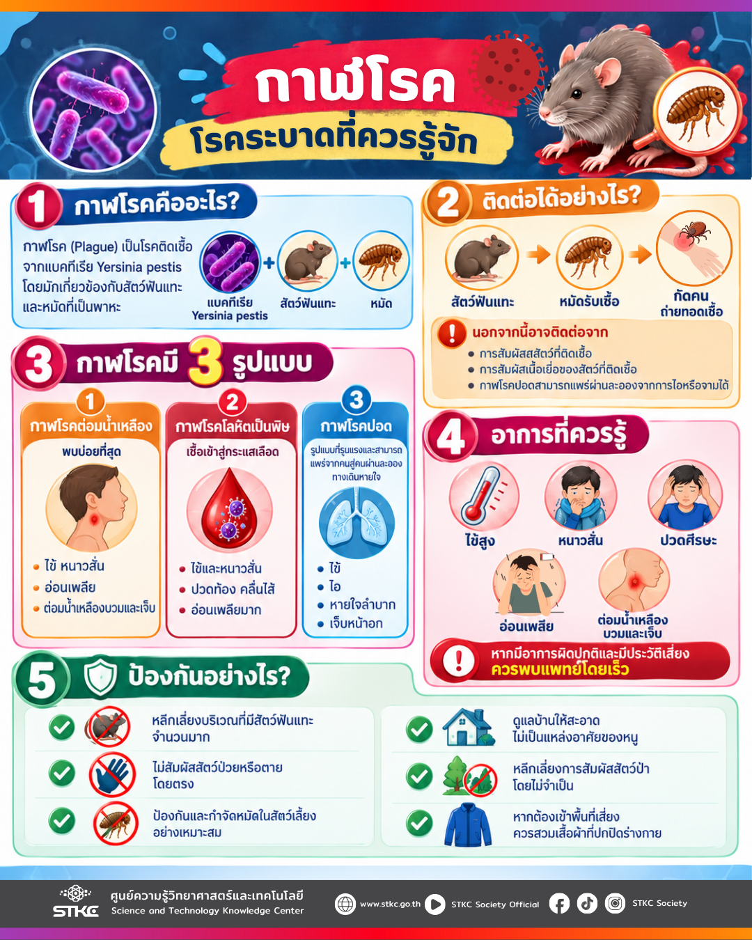 กาฬโรค โรคระบาดที่คุณควรรู้จัก