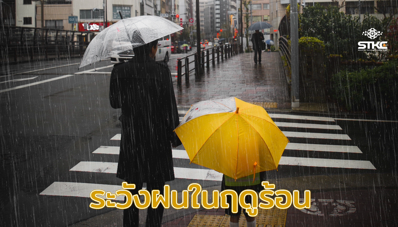 ระวังฝนในฤดูร้อน