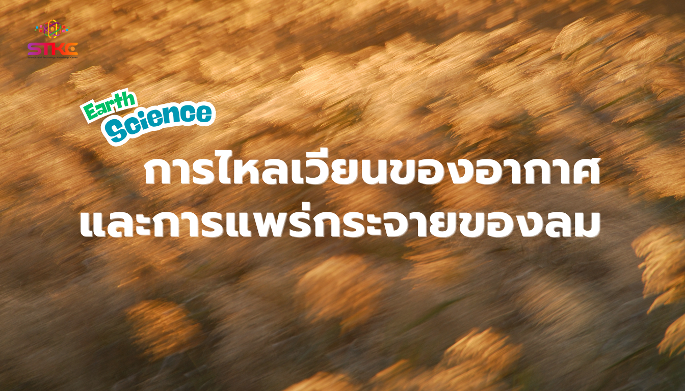 การไหลเวียนของอากาศและการแพร่กระจายของลมในโลก