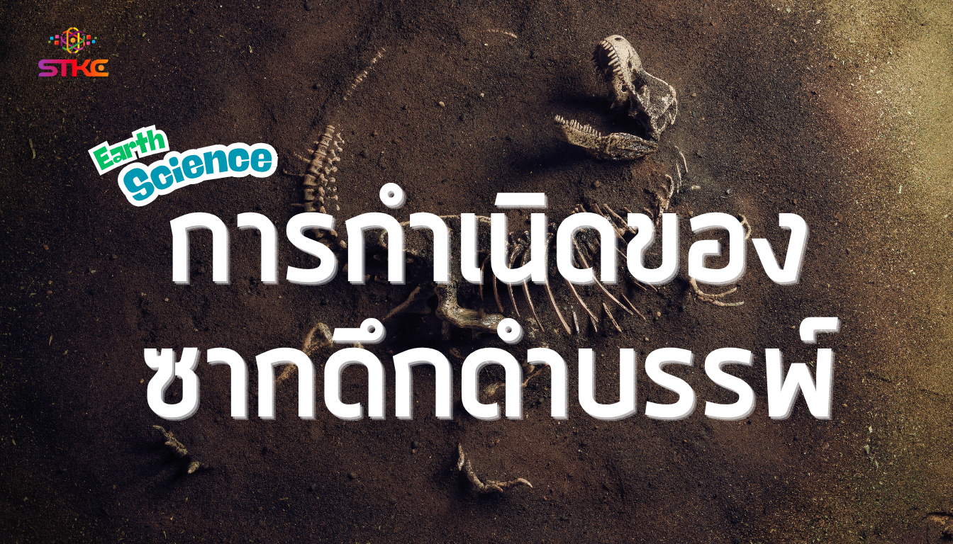 การกำเนิดของซากดึกดำบรรพ์