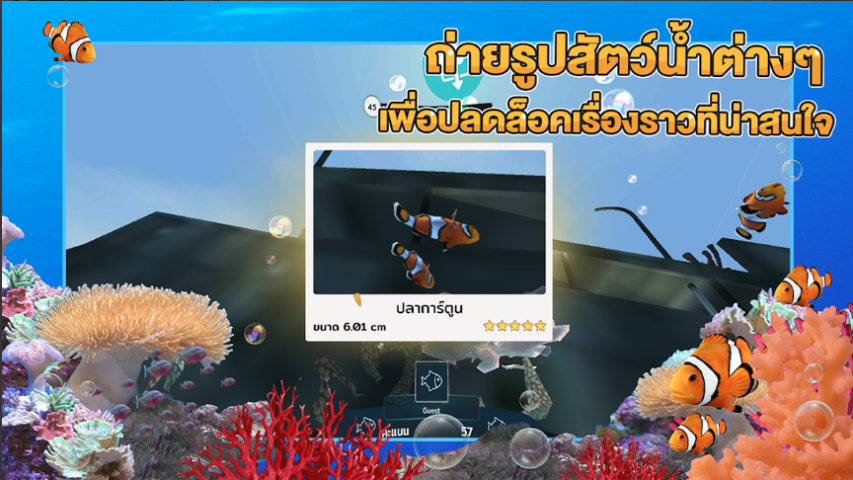 STKC Thai Sea Discovery