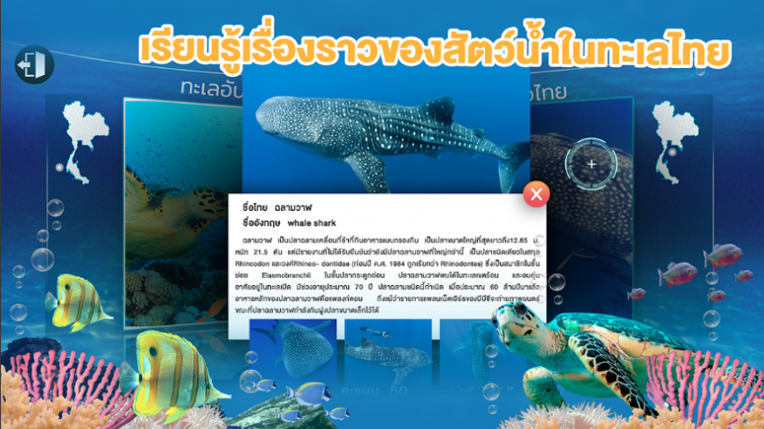 STKC Thai Sea Discovery