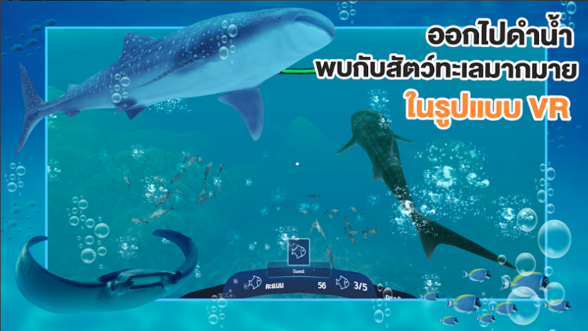 STKC Thai Sea Discovery